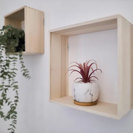 Apartman Le Coin Douillet Reims