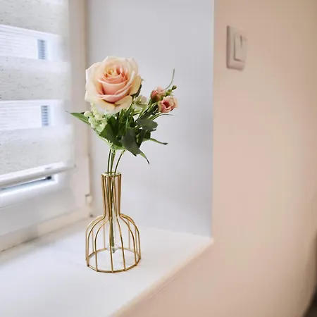 Le Coin Douillet Apartman