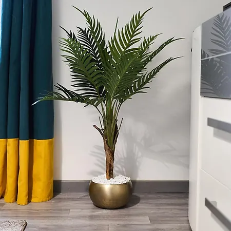 Apartman Le Coin Douillet Reims