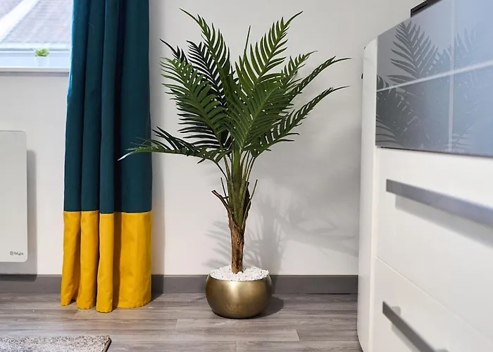 Apartment Peaceful Retreat & Cozy In , Sleep4 ,near Center , Free Public Parking Reims